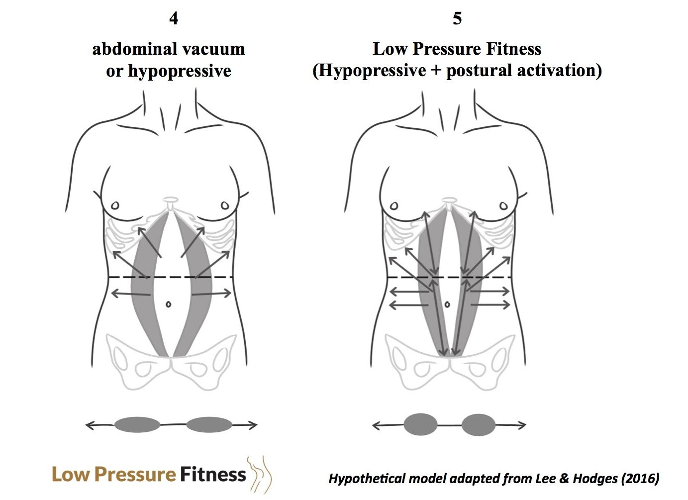 abdominal