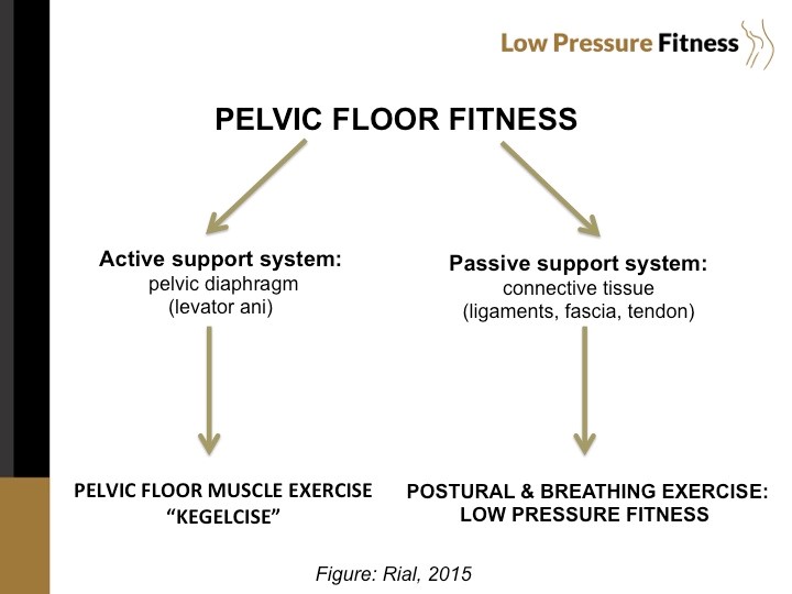 pelvic-flloor-fitness