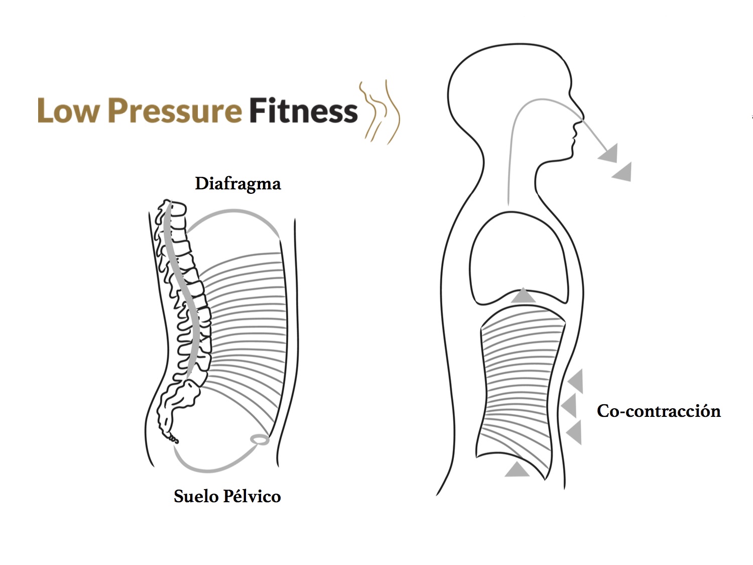 respiracion-suelo-pelvico-LPF